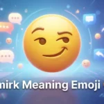 Smirk Meaning Emoji