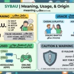 SYBAU Meaning